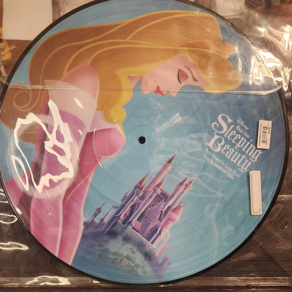 Disney Sleeping Beauty Vinyl In Plastic Sleeve